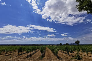 Vue du village de Saint Jean de Serres - ruelle typique